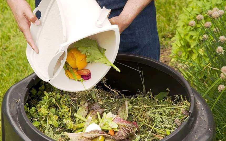 plant compost : kid-safe fertilizers