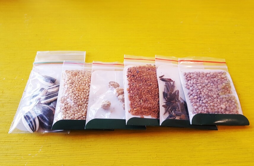 seeds for kids’ gardening kits