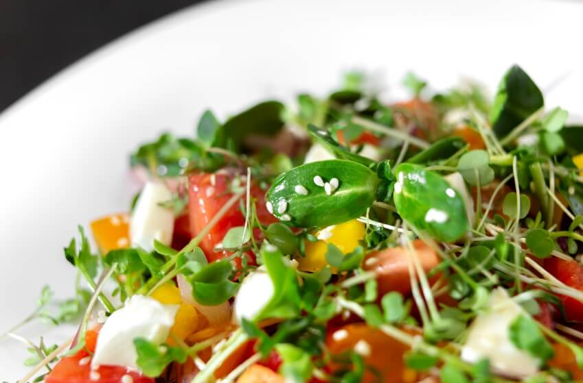 microgreen salad as a rainbow food