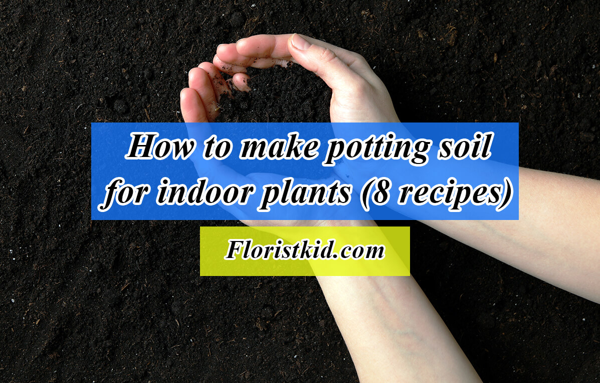 How To Make Potting Soil For Indoor Plants (8 Recipes) | Florist Kid