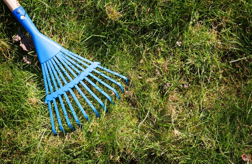 rake gardening tool