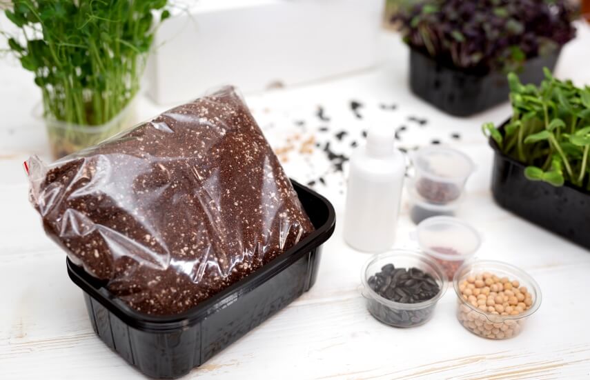 The best soil for microgreens and seedlings