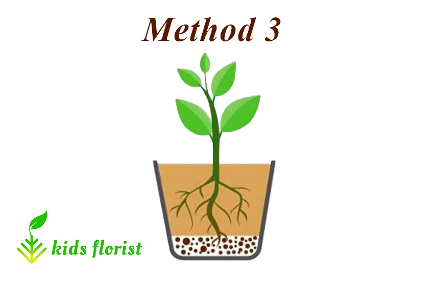 method 3: mixing Leca with soil