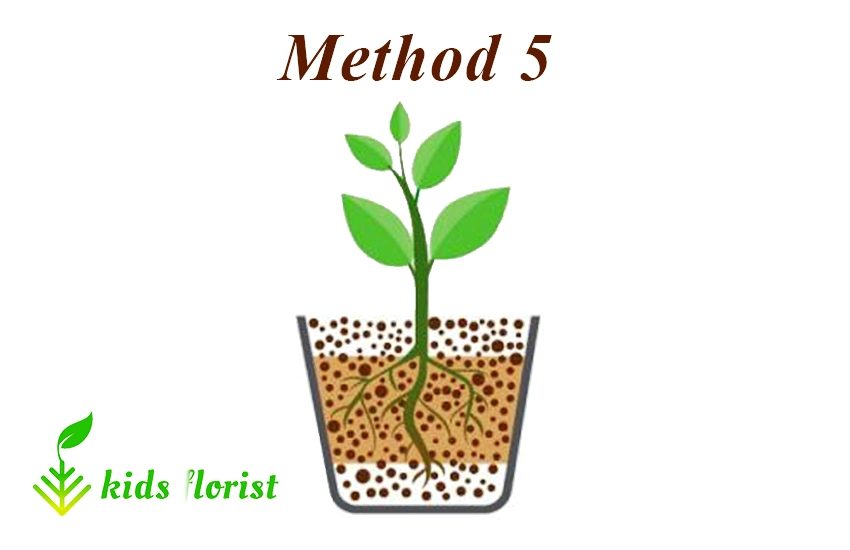 method 5: mixing Leca with potting soil