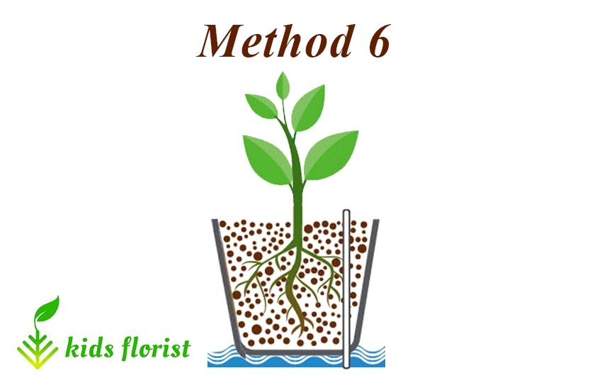 method 6: Leca for hydroponic cultivation
