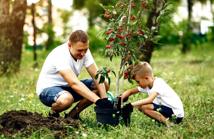 benefit of tree planting activity for kids