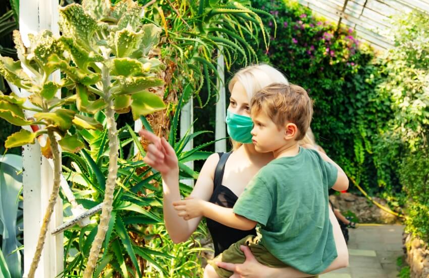 teach kids about plants