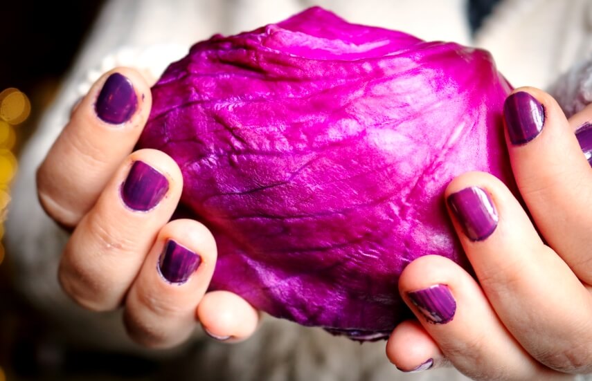 purple cabbage in hand