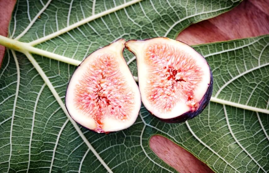 ripe-figs-on leaf