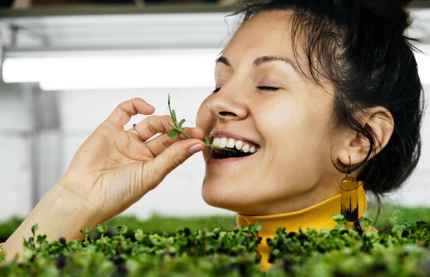 Can you eat microgreens every day?
