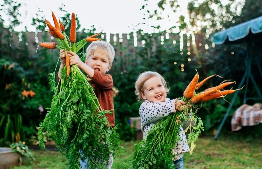 kids harvesting food
