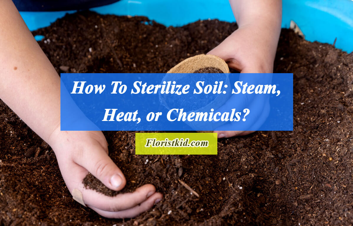 Should You Sterilize Your Soil?