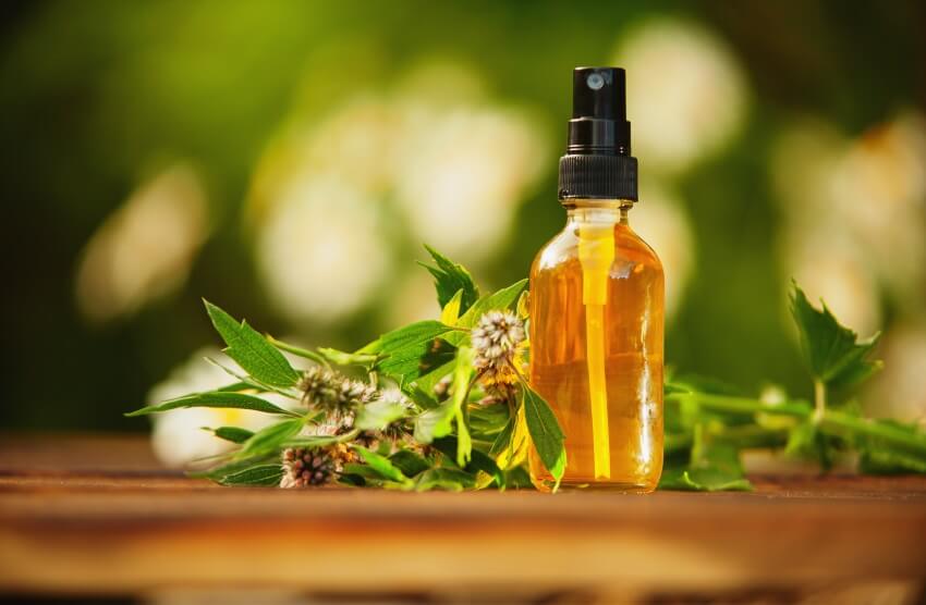 motherwort essential oil