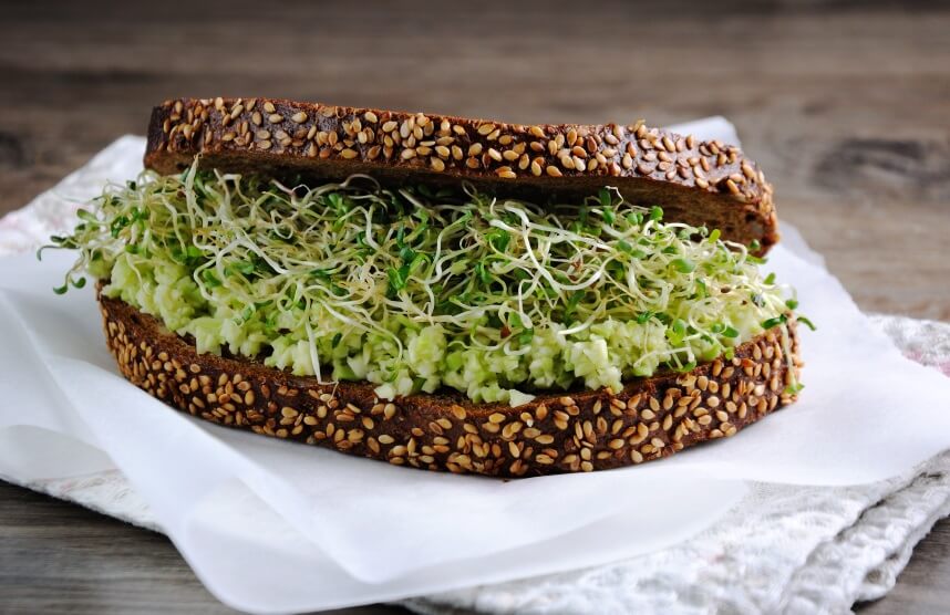 How To Eat Alfalfa Sprouts