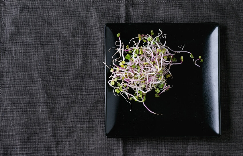 fresh radish sprouts on table