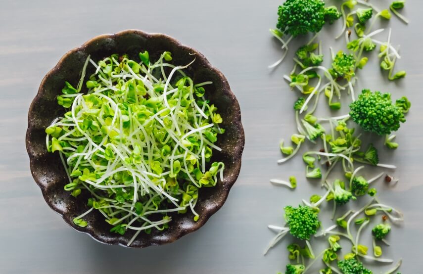 Broccoli and Sprouts