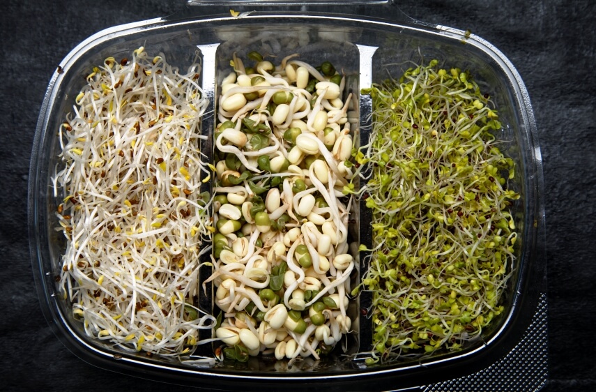 sprouts in container