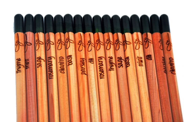What Are Plantable Pencils(+History & Benefits)