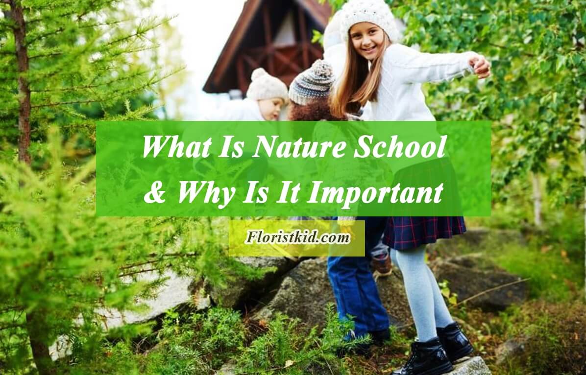 What Is Nature School & Why Is It Important