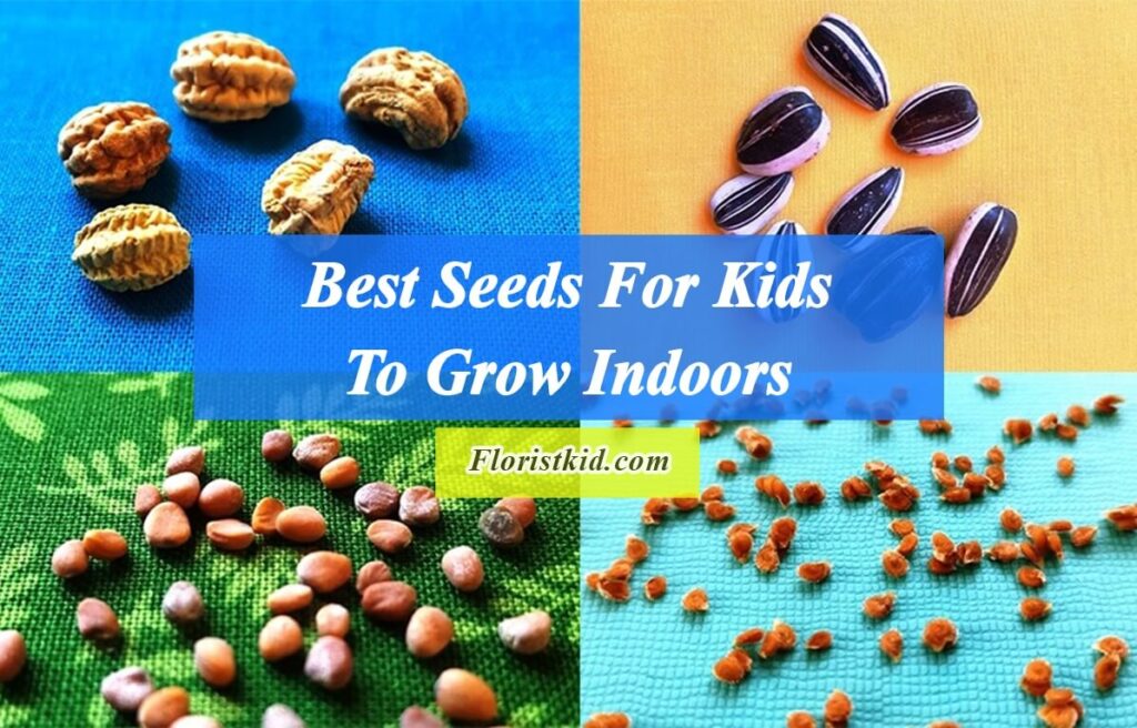best seeds for kids to grow indoors