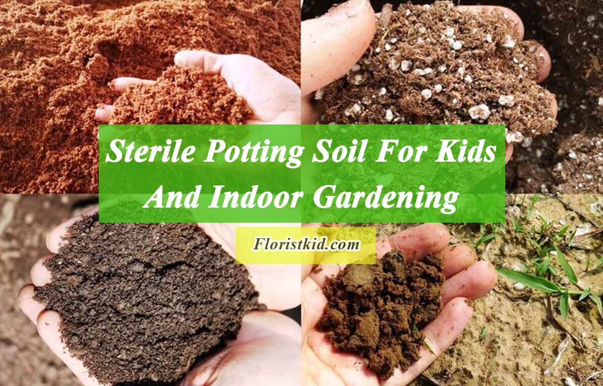 Sterile Potting Soil For Kids And Indoor Gardening