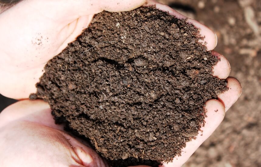 houseplant soil and kids gardening soil choices
