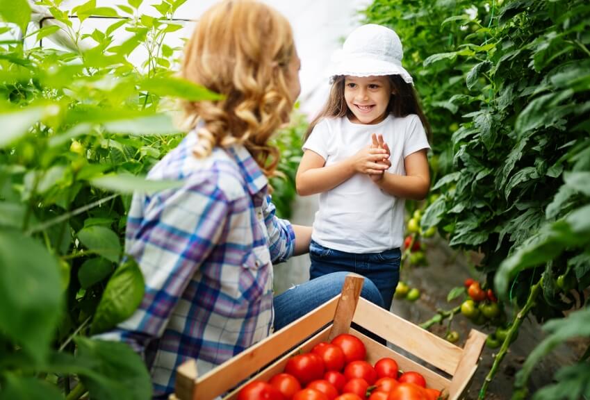 Benefits Of School Gardens For Kids | Florist Kid