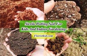 sterile potting soil as a child-friendly soil