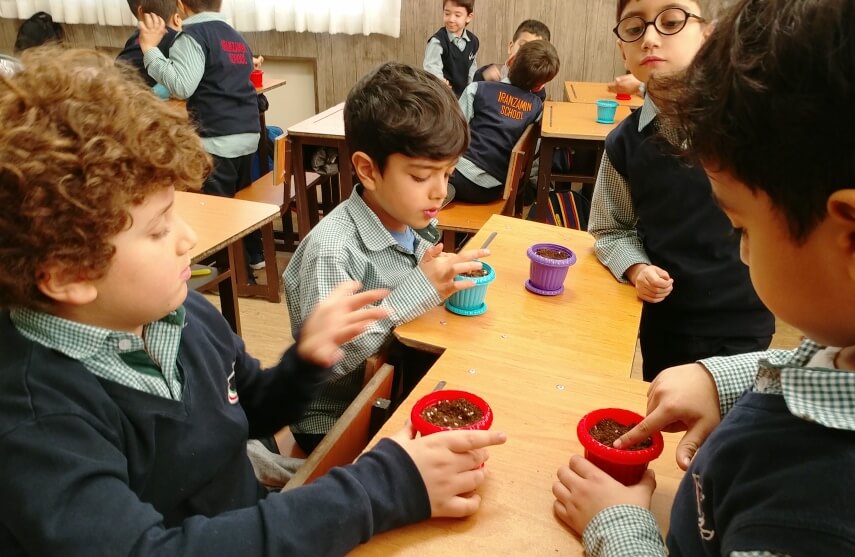 plant the seeds with kids