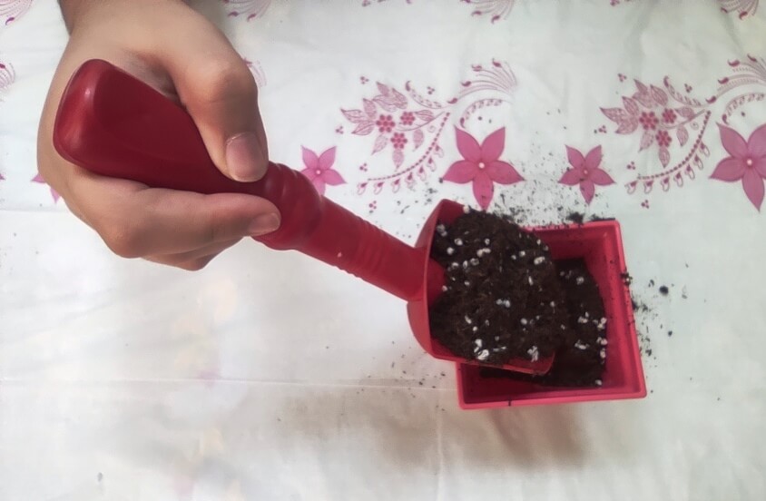 pour soil in pot