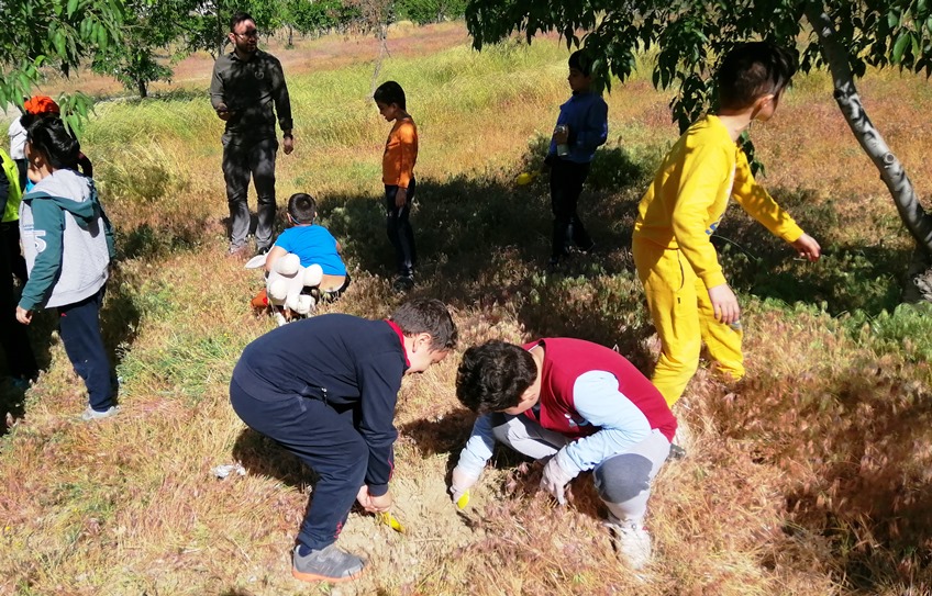 Benefit of gardening for students in outdoor environment