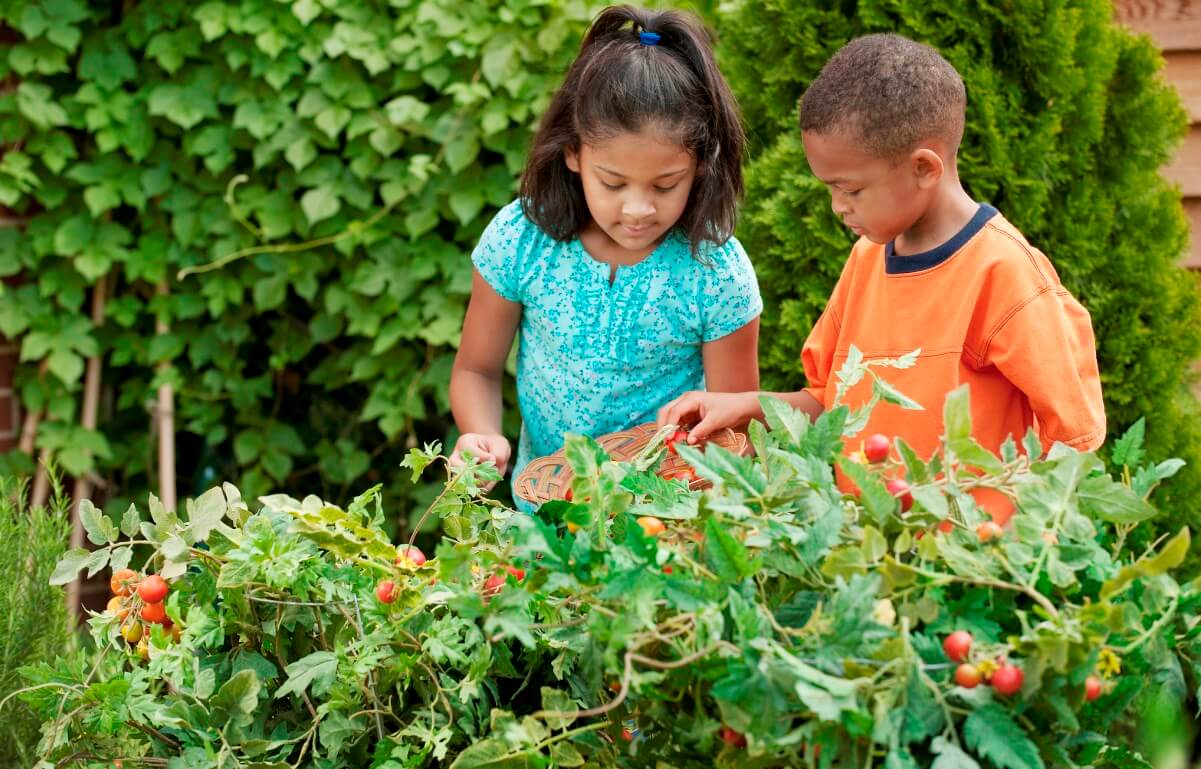 importance of plants In kids’ lives