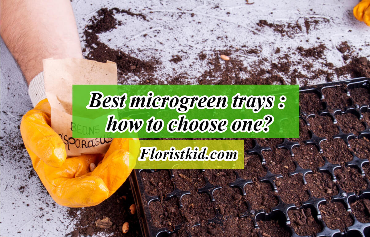 how to choose microgreen tray