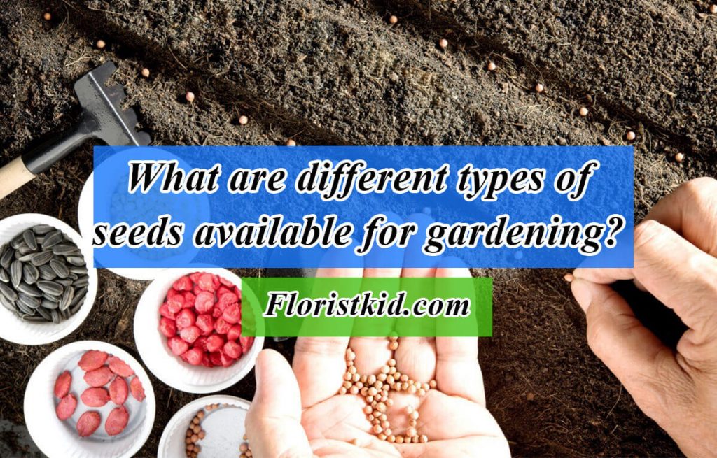 different types of seeds available for gardening