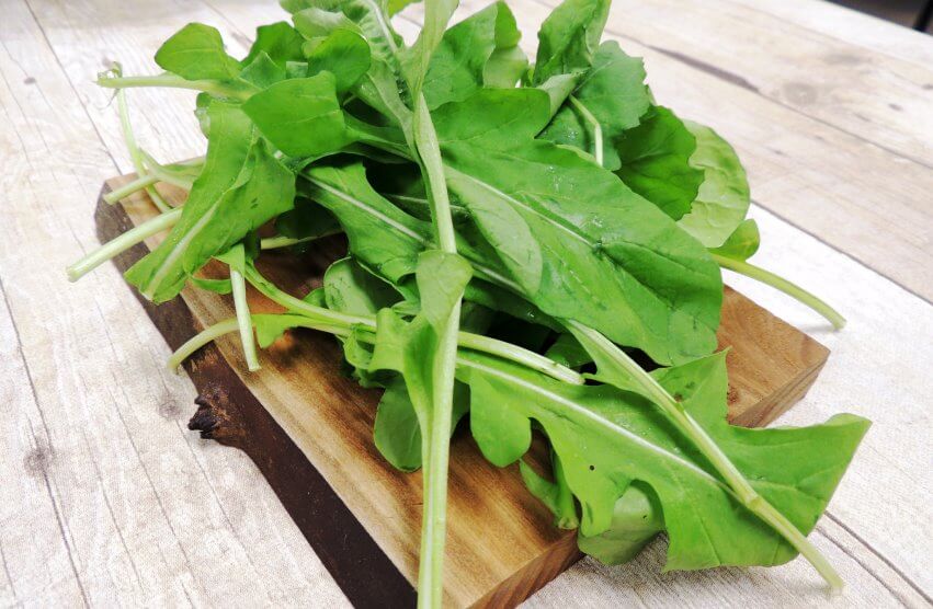 arugula in kitchen