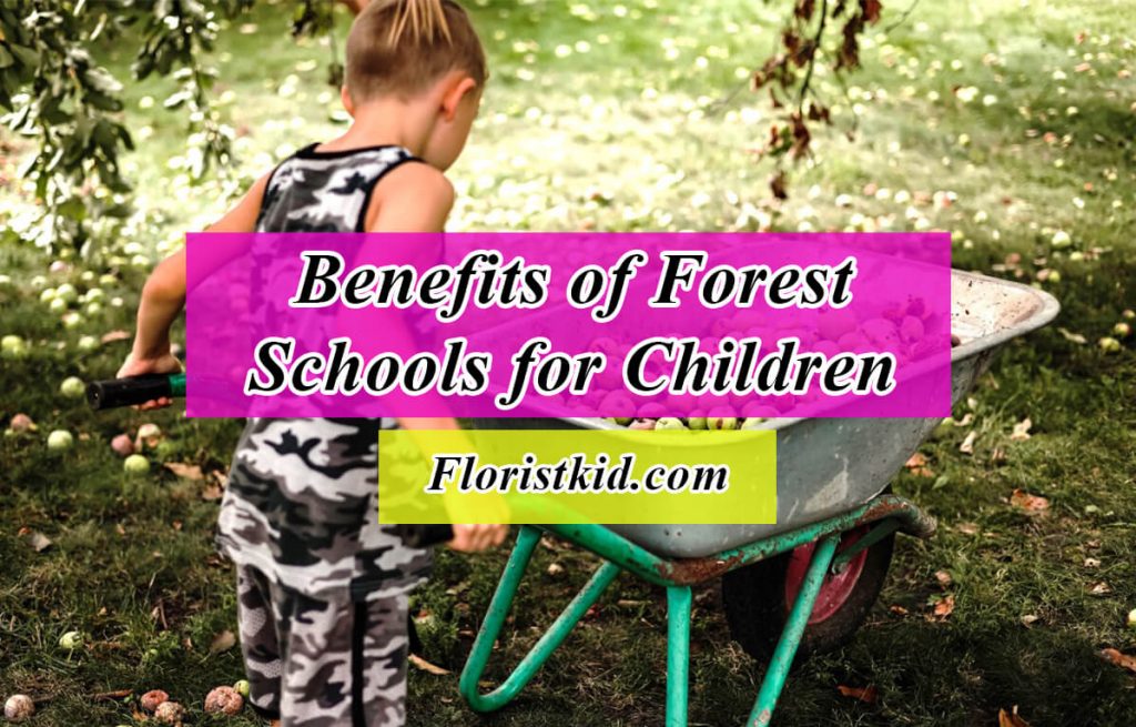 benefits of forest schools foe children