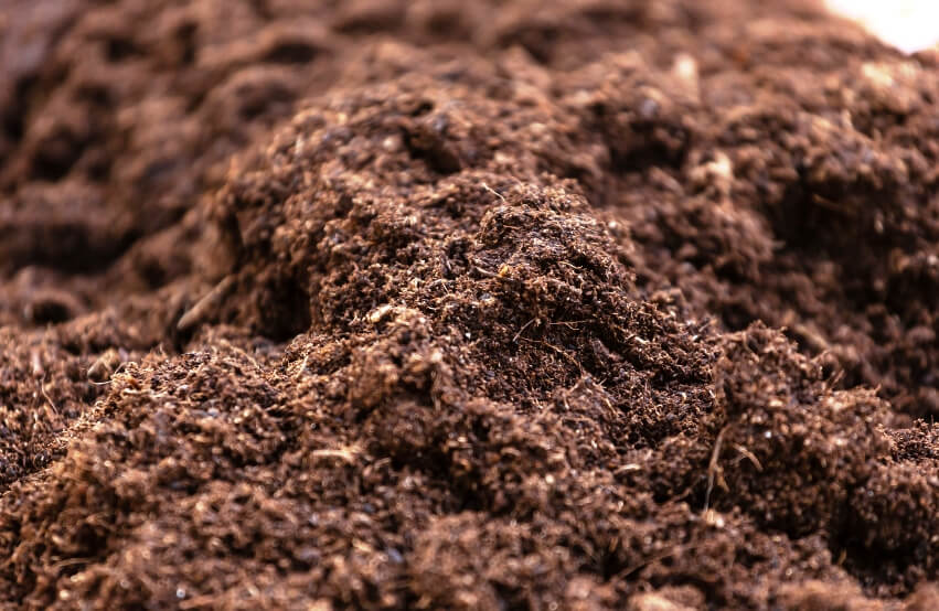 best potting soil for indoor plants