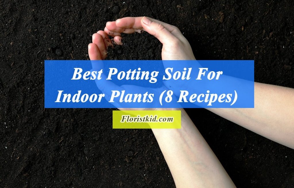 Best Potting Soil For Indoor Plants (8 Recipes)