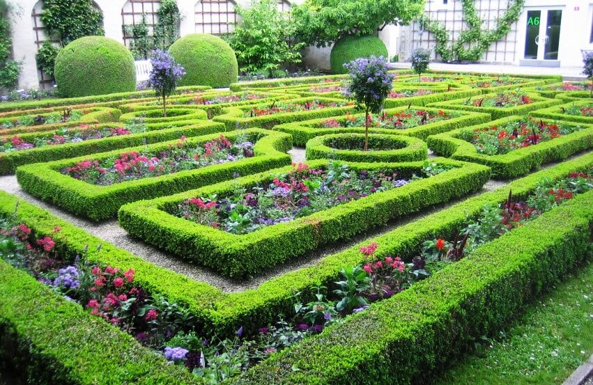 maze of flowers