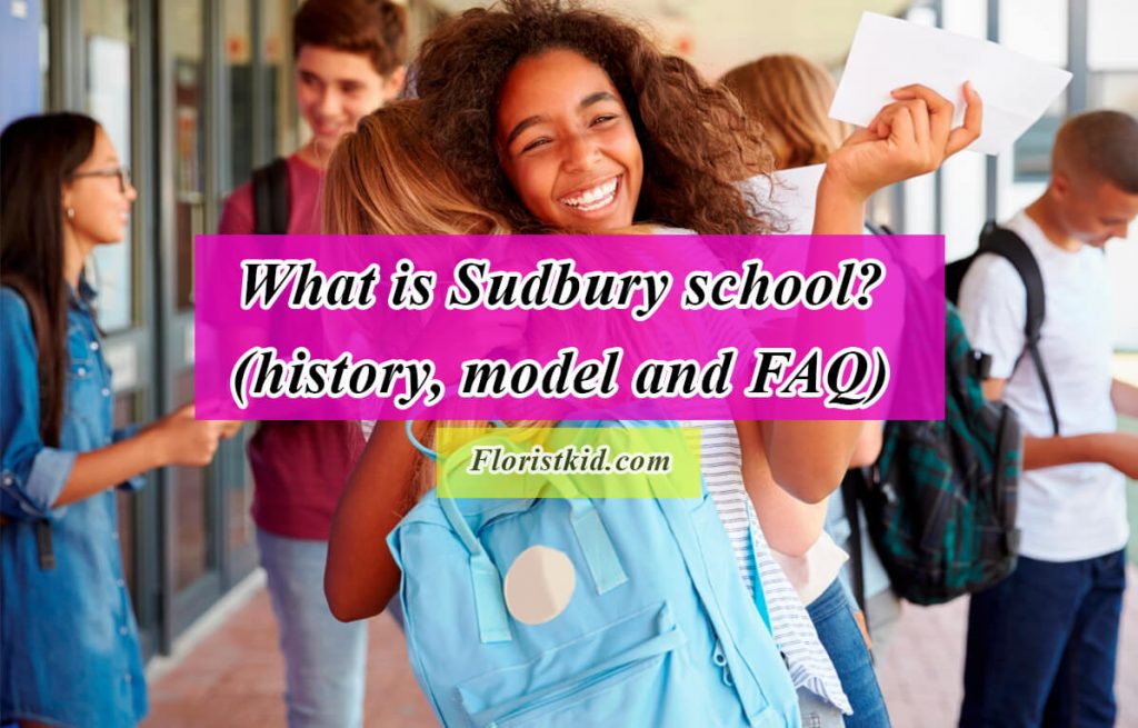 what is Sudbury school