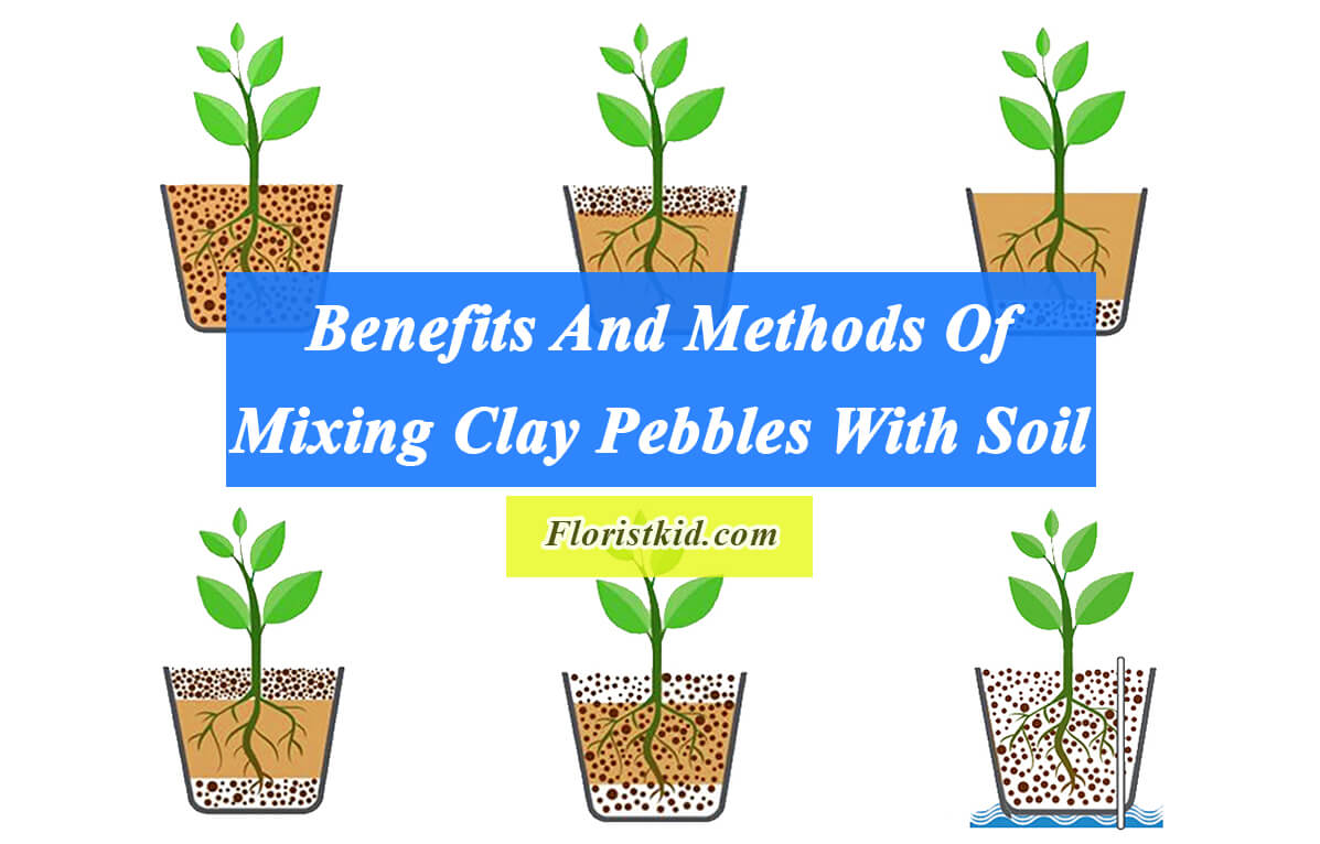 Benefits And methods Of Mixing Clay Pebbles With Soil