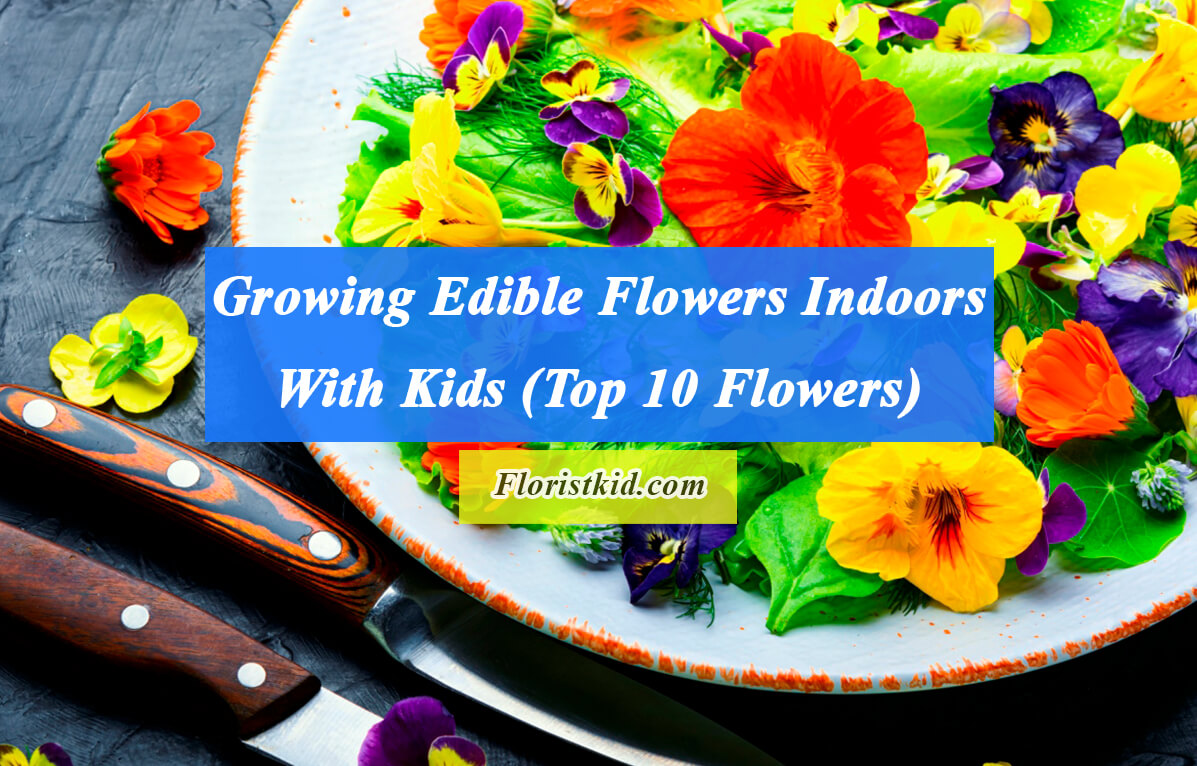 Growing Edible Flowers Indoors With Kids