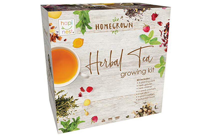 Herbal Tea Indoor Garden Seed Starter 