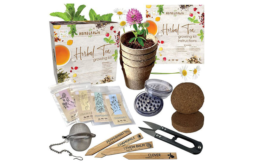 Herbal Tea growing kit for indoor purpose