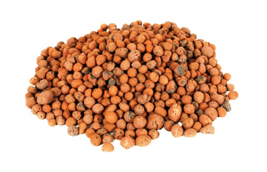 Leca or clay pebbles for plants
