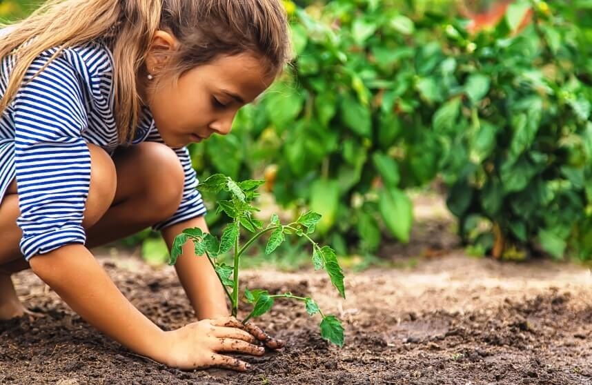 child is planting a plant in a child-friendly garden