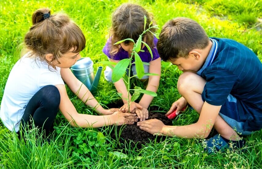 kids are planting a young tree together