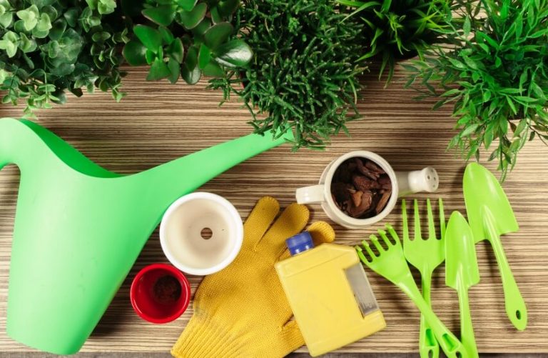 Growing Edible Flowers Indoors With Kids (Top 10 Flowers)