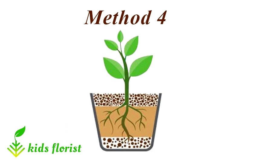 method 4: clay pebbles and soil