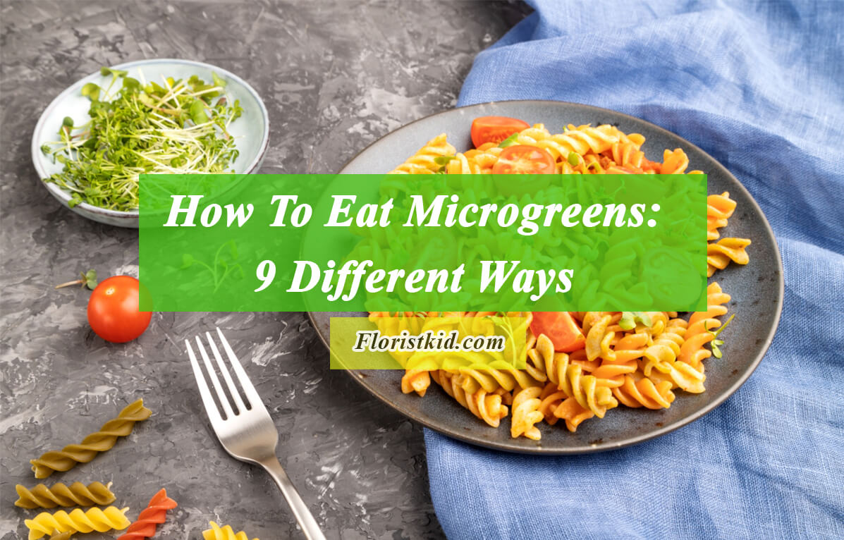 How to eat microgreens 9 Different ways to consume microgreens